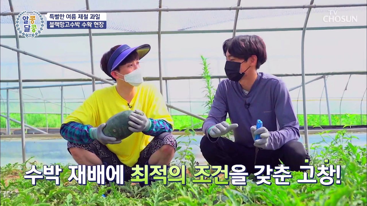 여름철 수분보충 제대로 해줄 수박 국수 레시피! 大공개★ TV CHOSUN 20210722 방송