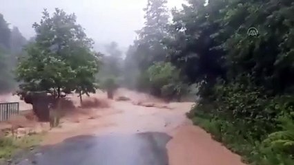 RİZE - Fındıklı'da sağanak nedeniyle dereler taştı (6)