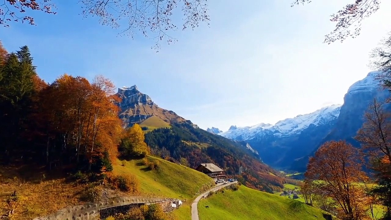 Beautiful Relaxing Music - Romantic Music with Piano, Cello, Guitar & Violin _ _Autumn Colors_ (1)