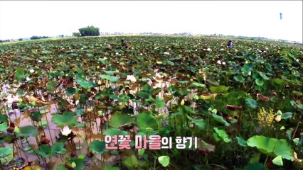 세계테마기행 - 포토제닉 아시아- 캄보디아에서 잠시 멈춤_#001