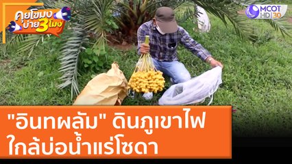 "อินทผลัม" ดินภูเขาไฟ ใกล้บ่อน้ำแร่โซดา (22 ก.ค. 64) คุยโขมงบ่าย 3 โมง