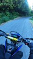 Motorcycle Rider Stops to Help Scared Deer Fawn