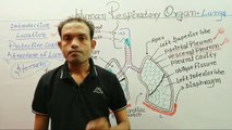 10th Biology,human respiratory Organs,ms patel e learning