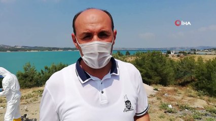 Ölüme terk edilen civcivler toplanmaya başladı