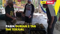 Panik durian 2 tan tak terjual