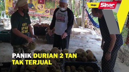 Panik durian 2 tan tak terjual