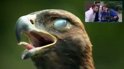 Subhanallah wach this