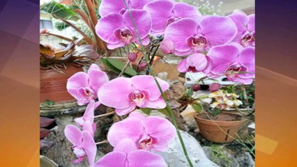 02 - Headlines with Fazeer: 22ndJuly, 2021