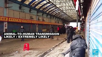 China says WHO plan to audit labs in Covid origins probe 'arrogant'