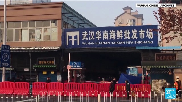 Covid-19 : la Chine critique la demande de l'OMS de poursuivre l'enquête sur les origines du virus