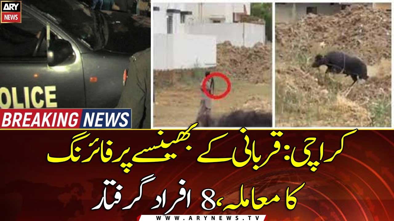 8 people arrested for shooting sacrificial bull in Karachi
