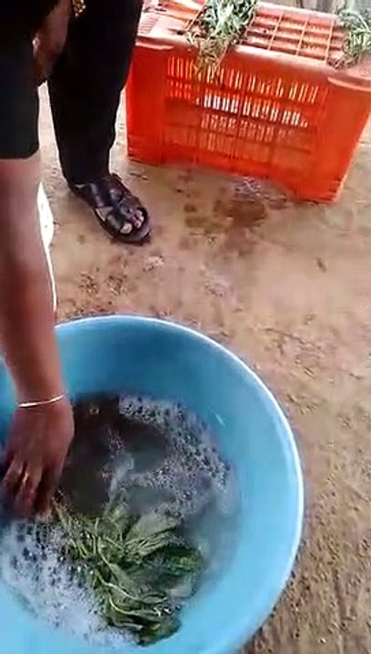 VID-20210722-WA0020