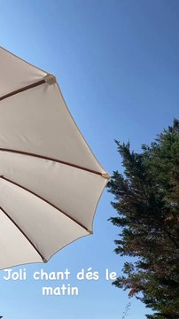 Estelle Lefébure dévoile un aperçu de ses vacances sur Instagram.