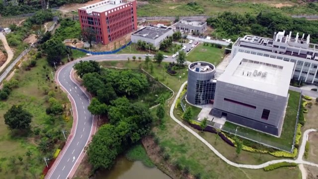 Enquête sur les origines du Covid-19 : l'OMS veut un audit des laboratoires, Pékin s'offusque