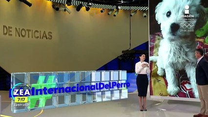 Así se celebró el Día Internacional del Perro en redes sociales