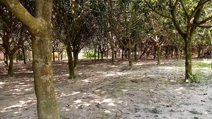 বাংলাদেশের কিছু প্রকৃতি