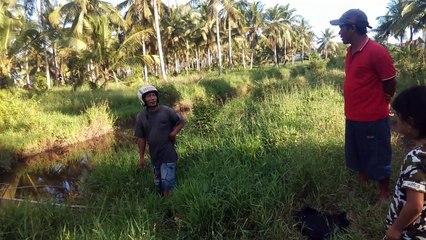 Anco ikan di sungai karyatama bareng ponakan