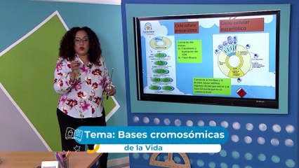10°, 11°, 12° Media | Biología 22-07-2021