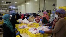HARTUM - Türk Kızılay Sudan'da 270 bin ihtiyaç sahibine kurban eti dağıttı