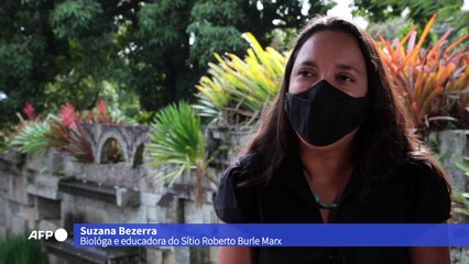 Sítio Roberto Burle Marx, candidato a patrimônio da Unesco