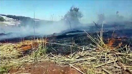 Bombeiros combatem incêndio em vegetação no Universitário