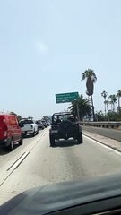 Hat-Donning Doggie Stylishly Rides in Jeep