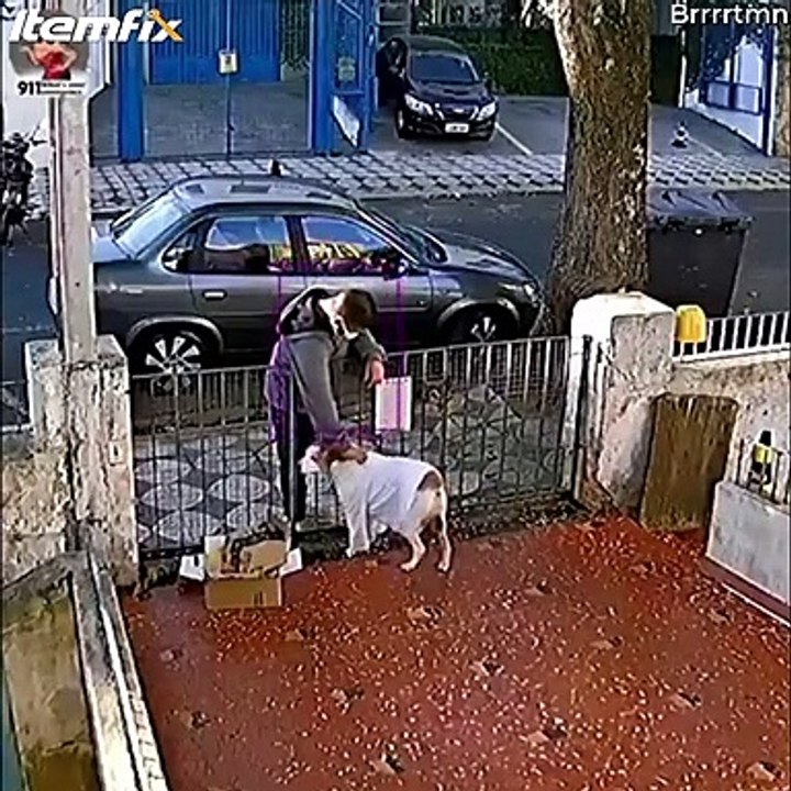 Un homme vient voler le t-shirt d'un chien... oui oui