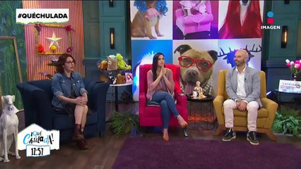 ¡Alejandro Fernández podría volver a la actuación!