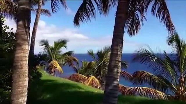 Deep Sleep Music - Ocean Waves, Fall Asleep Fast, Relaxing Music, Sleeping Music