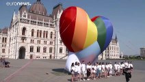 Отношение к венгерскому референдуму по закону об ЛГБТ-пропаганде