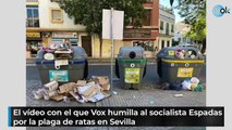 El vídeo con el que Vox humilla al socialista Espadas por la plaga de ratas en Sevilla