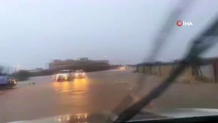 - Suudi Arabistan'da sel