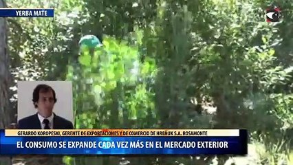 El consumo de la yerba mate se expande cada vez más en el mercado exterior