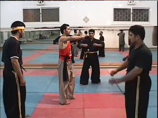 Malang Wushu (18)-2008-11-22B