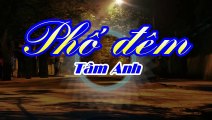 [Karaoke] PHỐ ĐÊM - Tâm Anh (Giọng Nữ)