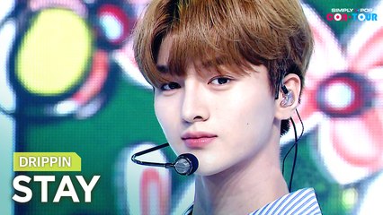 [Simply K-Pop CON-TOUR] DRIPPIN (드리핀) - STAY (스테이) _ Ep.477