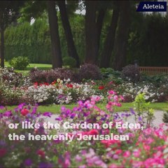 What does Heaven look like?