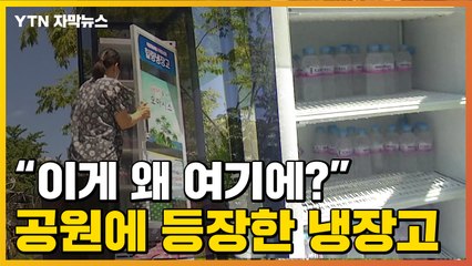 [자막뉴스] 공원 한가운데에 '냉장고'가 설치된 이유는? / YTN