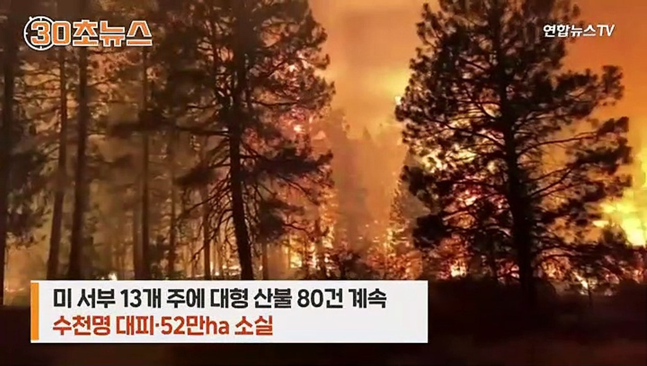 [30초뉴스] 타고 있는 산불이 자그마치 80개…"산불 연기가 코로나 확산에 영향"