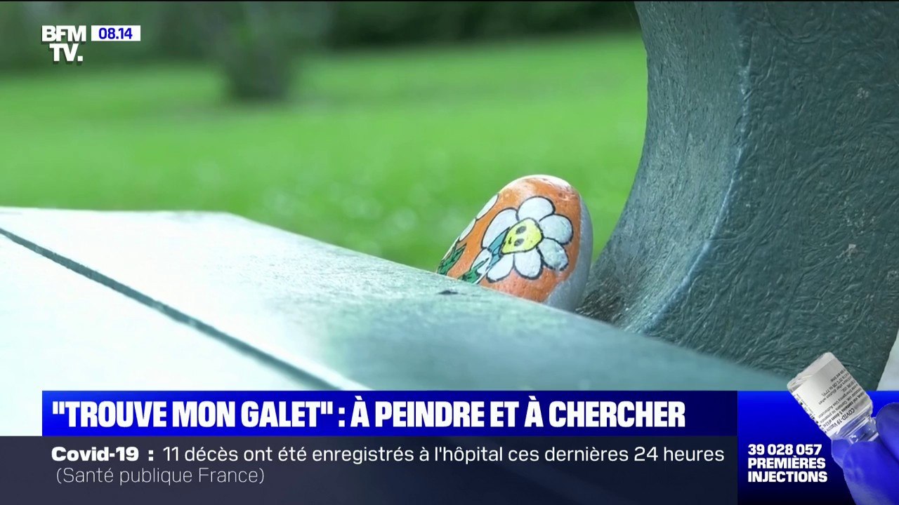 "Trouve mon galet", le nouveau défi lancé sur les réseaux sociaux