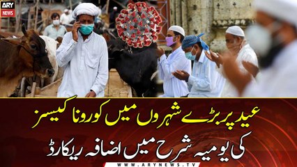 Record increase in daily rate of corona cases in major cities on Eid