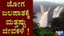 Shivamogga: After Heavy Rain, Jog Falls Is Looking More Attractive