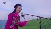 Phul Butte Sari Cover Song & Video