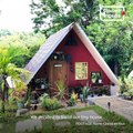 Family Builds a Tiny House With An Indoor Pool and Tree House For P350,000