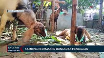 Kambing Bermasker Dongkrak Penjualan