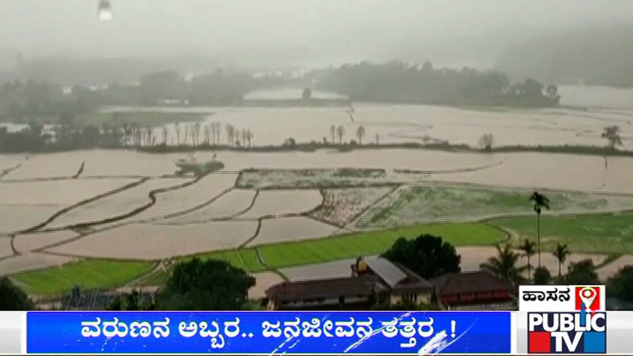 Heavy Rain In Hassan; Hundreds Of Acres Paddy F...