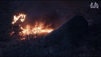 Scar Vs Simba  The Lion King  2019