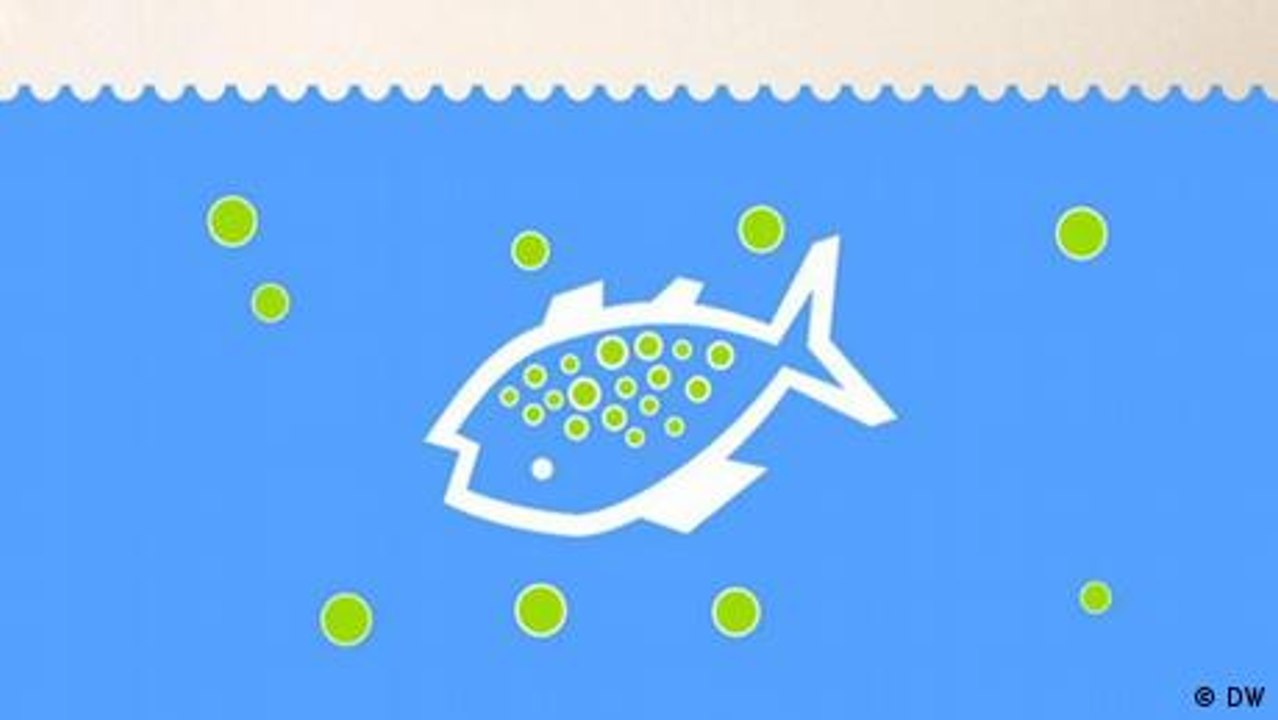 Was passiert mit einer Plastikflasche?