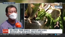 폭염 피하고 공실 채우고…취약계층 특별한 호캉스