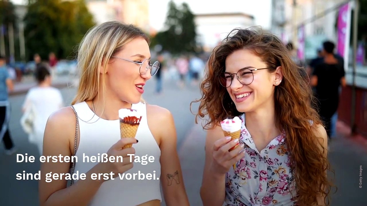 Wespenplage: Womit müssen wir diesen Sommer rechnen